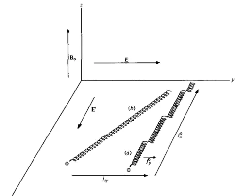 FIGURE 1. Schematic representation of the electron motion: (a) without density fluctu- fluctu-ation, (b) with density fluctuation