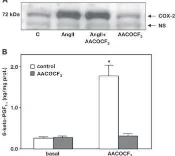 Fig. 3. Effect of AACOCF 3 on AngII-induced COX-2 expression and PGI 2