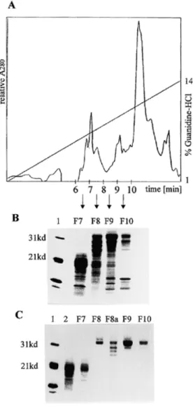 Figure 1. Fractionation of histones H1 by cation exchange chromatography and reversed phase HPLC