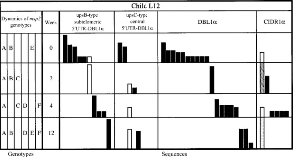 Figure 4. Longitudinal distribution of both upstream regions, Duffy binding–like sequence 1a (DBL1a), and cysteine-rich interdomain region–a (CIDRa) in samples obtained from child L12