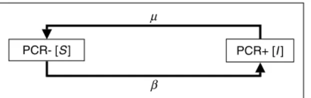 Fig. 1. Graphical representation of model 10. The model considers an age-independent acquisition rate b and an elimination rate m