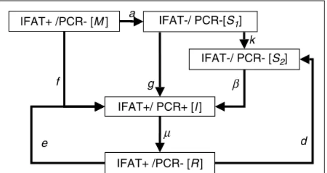 Fig. 3. Graphical representation of model 30. Five compartments represent the maternally protected subpopulation (M), the populations of susceptible foals (S 1 ), susceptible adults (S 2 ), infected (I) and immune (R) animals