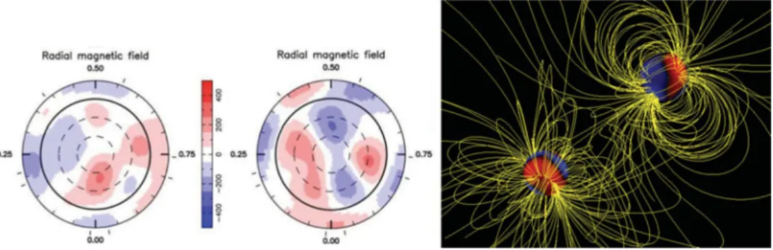Figure 1. Magnetic maps of the primary/secondary star of V4046 Sgr (left/middle respectively).