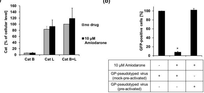 Figure 6. Amiodarone antiviral effect is rescued by in vitro proteolysis of GP. (a) Amiodarone does not affect the cell content of cathepsins B and L