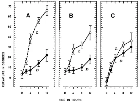 Fig. 1. Curvature (in degress ± standard deviation) in relation to time (in hours) of apical root segments prepared from three maize varieties, horizontally placed at 0 hr in darkness (D) or in light (L)