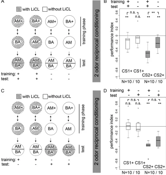 Figure 2 Odor–electric shock learning per se does not require LiCl.(A) Diagram of the procedure for a 2-odor reciprocal conditioning experiment reinforced by electric shock on LiCl plates during training and test (left) or without LiCl (right) using 5 trai