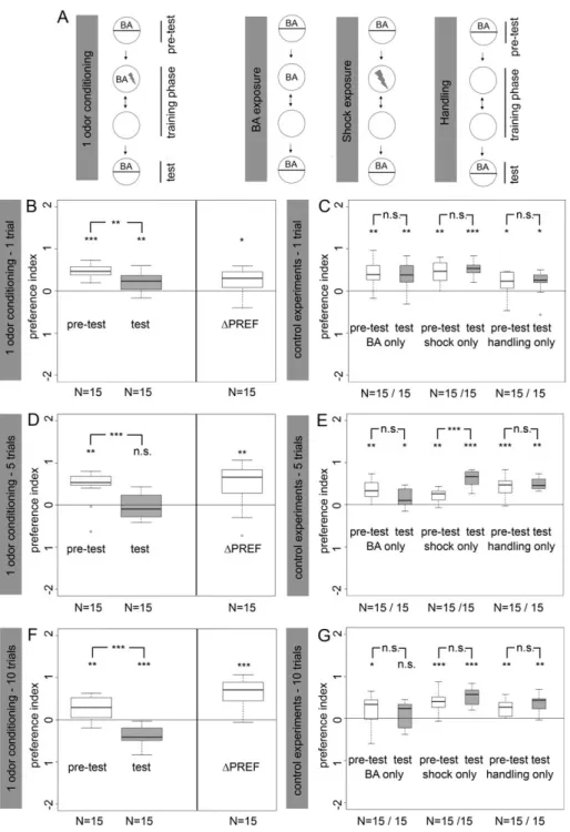 Figure 5 One-odor nonreciprocal training protocol reinforced by electric shock on assay plates lacking LiCl