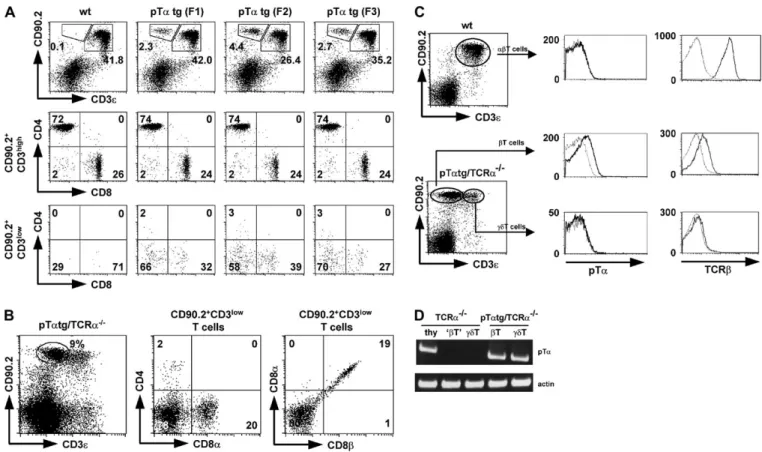 Fig. 2. (A) Identification of a novel T cell subset in pTa tg mice. Four-colour flow cytometry analysis of blood lymphocytes from wild-type mice and independent pTa tg founders