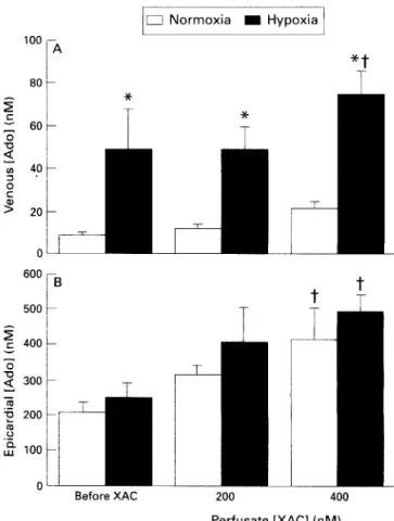 Figure  2  shows  venous  and  epicardial  adenosine  con-  centrations during  normoxia  and  hypoxia  in  the  absence or  presence  of  XAC