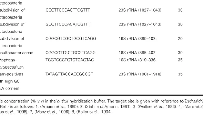 Table I: Probes used targeting 16S rRNA or 23S rRNA sequences