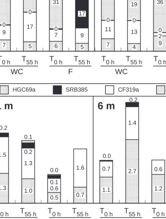 Fig. 4. Changes in the bacterial community composition during the incubations. T 0 h , initial composition; T 55 h , composition after 55 h; WC, whole community; F, fraction filtered on 1.2 µm membranes.