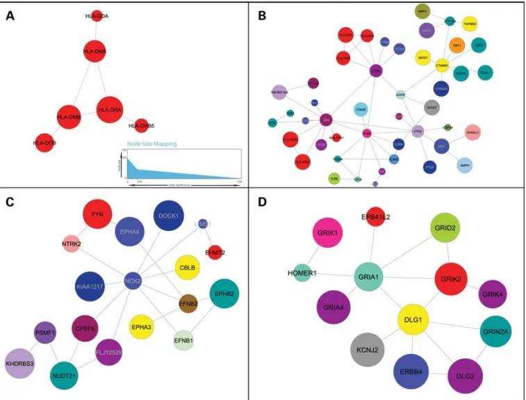 Figure 3. Representative modules for MS. Nodes represent proteins and connections represent physical interactions as determined by the curated human PID reported in Rual et al