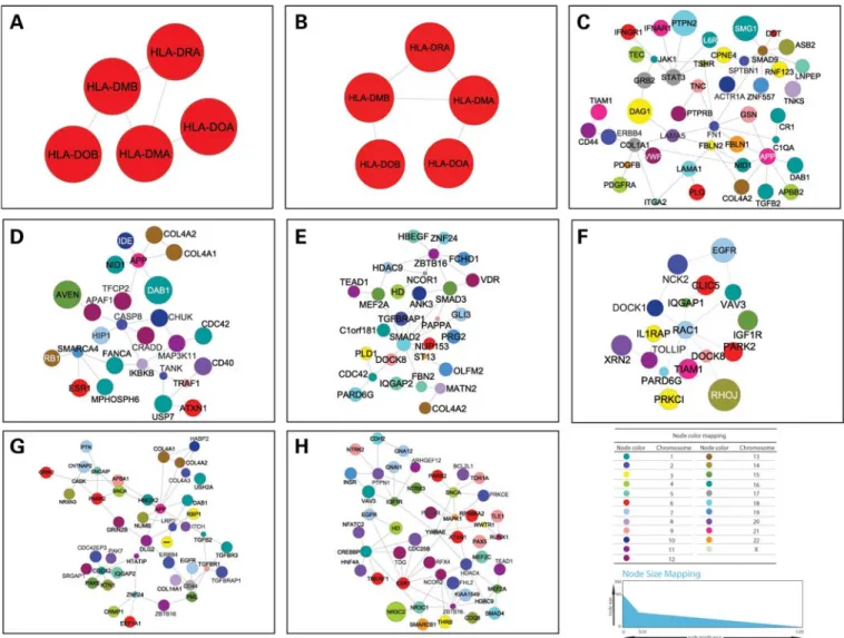 Figure 4. Representative modules for other diseases. Same conventions as in Figure 3. (A) RA; (B) T1D; (C) CD; (D) T2D; (E) CAD; (F) HT; (G) AD; (H) BD.