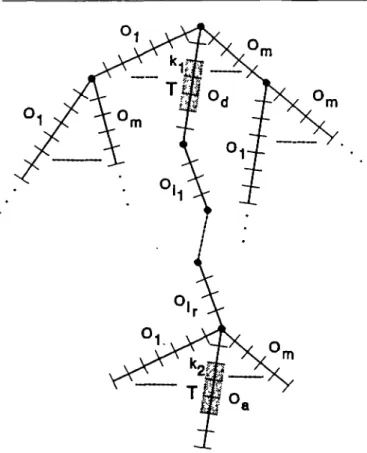 Fig. S. The general situation showing the distance i between the two trinucleotides T of the autocorrelation function, as a function of the lengths of concatenated oligonucleotides.