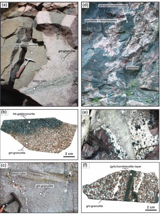 Fig. 3. (a) Transition of garnet granulite to hornblende gabbronorite in the upper part of the Jijal complex, near the village of Patan (Fig