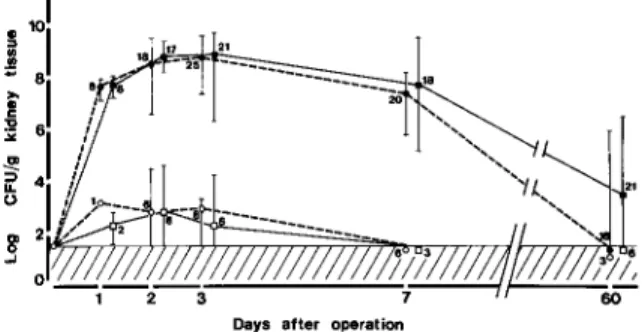 Figure 1. Effect of dexamethasone (squares) vs. control (circles) treatment on bacterial counts in the left kidney.