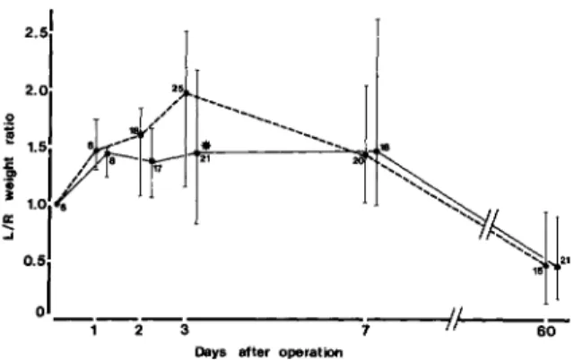 Figure 3. Effect of dexamethasone (squares) vs, control (circles)treatment on PMNL exudation, measured by the kidney MPO content