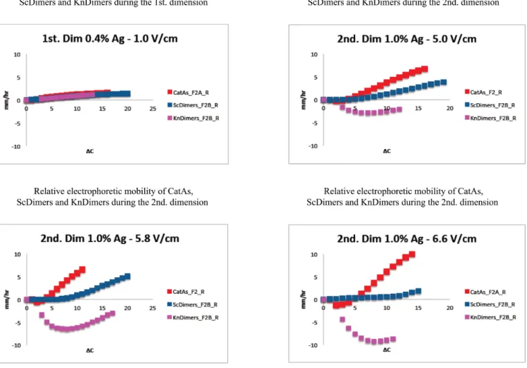 Figure 6. Comparison of the relative electrophoretic mobility of different topoisomers during the first and second dimension of 2D gels where the latter occurred at different voltages