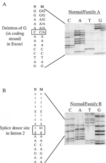 Figure 3. Co-segregation of mutations with disorder in families. Individuals participating in study marked with dot