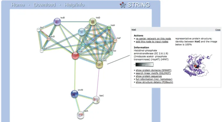 Figure 1. Protein association network in STRING. An example of the network view in STRING, centered on the query protein ‘hisB’ from Escherichia coli