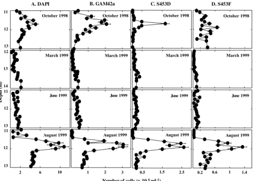 Fig. 2. Number of cells stained with DAPI (column A) or hybridizing to probes GAM42a (column B), S453D (column C) or S453F (column D), re- re-spectively, in chemocline samples from Lake Cadagno from October 1998, March 1999, June 1999, and August 1999.