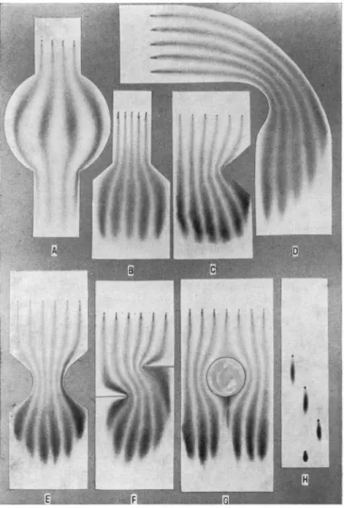 Abb. 7. Das Fließen in porösem Material, dargestellt durch Stromlinienbilder.