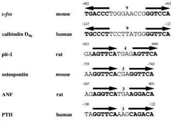 Figure 1.  Core sequences of the VDREs used in this study. One copy of each element was subcloned into the XbaI site in front of the tk promoter of pBLCAT2