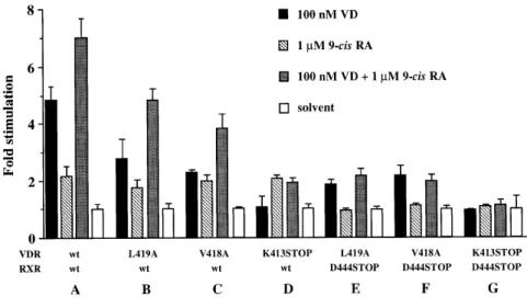 Figure 6. VDR–RXR heterodimers have two functional AF-2 domains. Cos-7 cells were transfected with the ANF VDRE-tk CAT reporter construct and with each 0.3 µg of the indicated VDR and RXR expression vectors