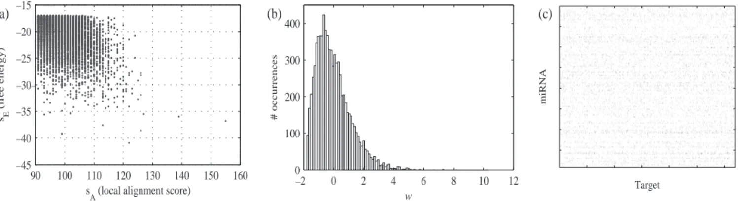 Fig. 5. (a) The distributions of the scores s A and s E . (b) The edge weight distribution with µ = 0, σ = 1.20, min = − 1.79 and max = 10.26