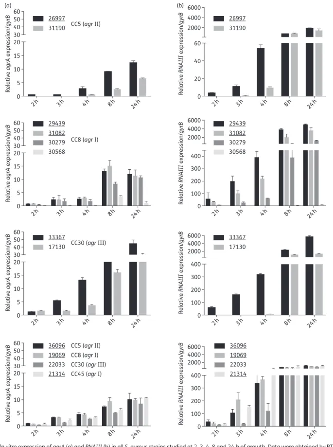 Figure 1. In vitro expression of agrA (a) and RNAIII (b) in all S. aureus strains studied at 2, 3, 4, 8 and 24 h of growth