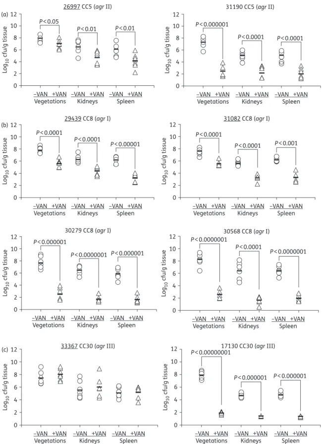 Figure 2. S. aureus densities in the target tissues in the IE model in the presence versus absence of vancomycin therapy for 3 days (panels a, b and c represent clinical CC5, CC8 and CC30 S