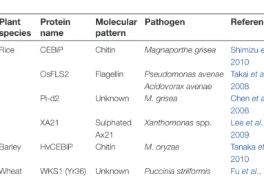 Table 1.  Selected monocot sensors recognizing conserved  molecular patterns Plant  species Protein name Molecular pattern Pathogen Reference
