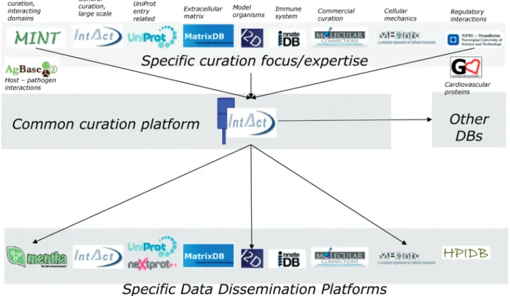 Figure 1. The web-based IntAct curation environment is used by currently 11 independent organizations, most of which re-export the data and present it through their own web interfaces.