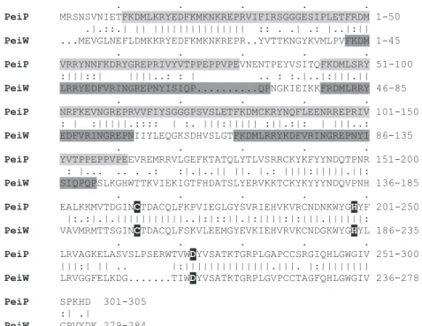 Fig. 1. Protein sequence alignment of the pseudomurein endoisopeptidases PeiP and PeiW generated with the GAP program of GCG