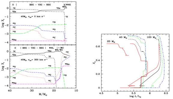 Figure 5. Left panel: Evolution as a function of the actual mass of the abundances (in mass fraction) at the surface of a non–rotating (upper panel) and a rotating (lower panel) 40 M  stellar model