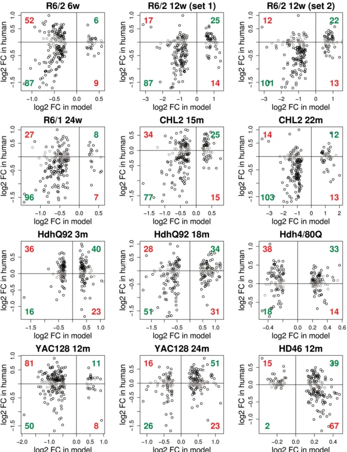 Figure 3. Scatter plots of differential expression in model versus human HD. These plots provide additional detail about the concordant and discordant changes shown in Figure 2 and pictorially represent the bases of the concordance coefficients for each mo