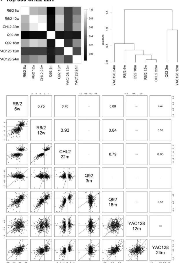 Figure 4. Correlation of M (log 2 fold change) of HD effect across mouse models and discrimination of HD model subsets