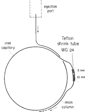 Figure 4. Schematic of connection between main column and short inlet capillary used for splitless injection with  sol-vent bypassing.