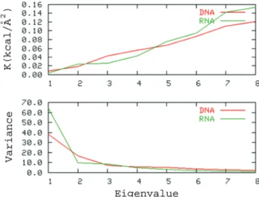 Table 3. Parameters describing global flexibility of B-DNA and A-RNA