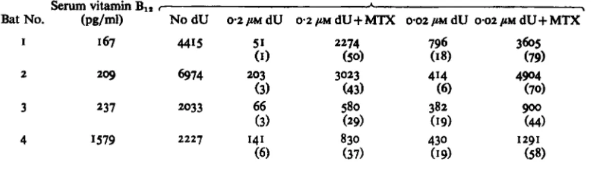 Table  3.  The eflect  of  10  pg  methotrexate (MTX) on the deoxyuridine (dU) suppression  test in bone marrow from fruit bats  (Rosettus Aegyptiacus) 