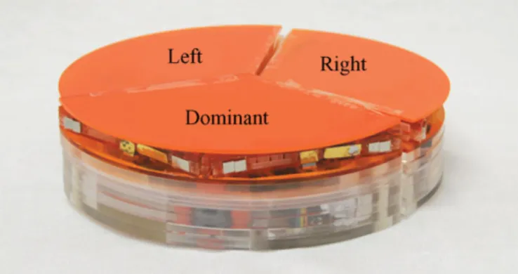Fig. 13. A double-module formation of MSRR modules. Metal inserts on the sides are used for transferring communication tokens.