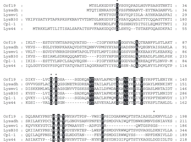 Fig. 3. CLUSTALW sequence alignment of Orf19 with bacteriophage lytic enzymes. The amino acid sequence of Orf19 from Streptococcus mutans phage M102 was compared with: Lys44, endolysin from Oenococcus oeni bacteriophage fOg44 (AAD10705.2) (Sao-Jose et al.,