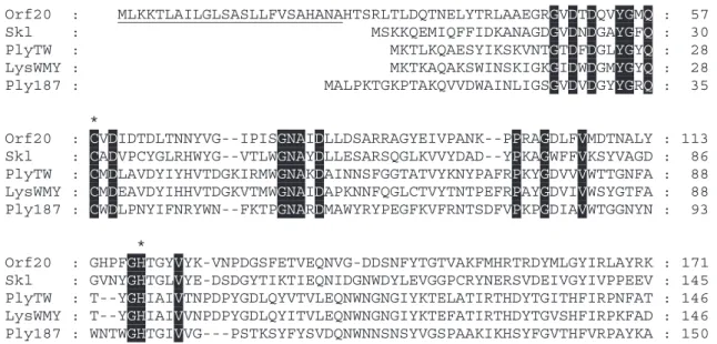 Table 2. Proteomic comparison of M102 with Streptococcal and Lactococcal phages