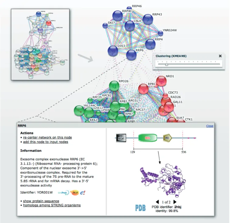Figure 1. Protein network visualization on the STRING website. The ﬁgure shows a composite of two screenshots, illustrating a typical user interaction with STRING (focused on a speciﬁc protein network in Saccharomyces cerevisiae)