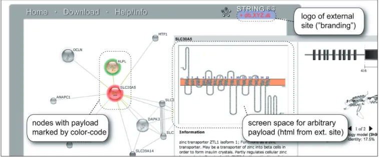 Figure 4. Projecting third-party data onto the STRING web-surface. STRING provides a consistent name space that encompasses genes, genomes, protein and interaction networks, all of which can be easily searched and browsed