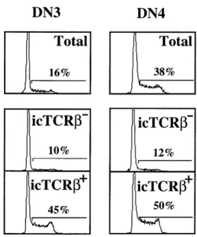 Fig. 3. Intracellular TCR β is first expressed in DN3 adult thymocytes.