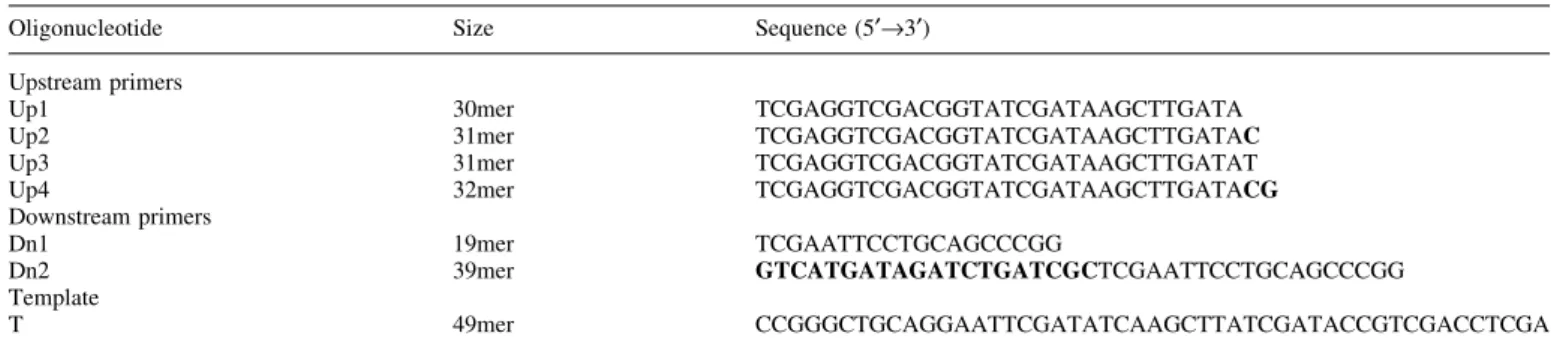 Table 1. Oligonucleotides used to create the Fen1 substrates used in this study