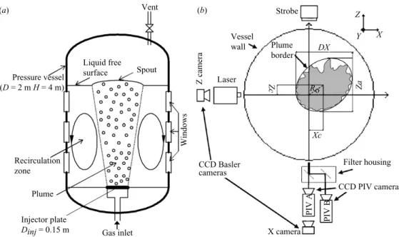 Figure 1. Bubble plume experiment in the LINX facility (a). Top view schematic of the experimental setup used to detect simultaneously the instantaneous bubble plume position and the velocity ﬁelds of the two phases (b).