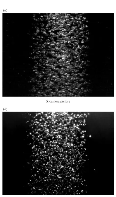 Figure 3. A pair of CCD Basler camera pictures, taken from perpendicular directions, for a gas ﬂow rate of 7.5 NL min − 1 covering the elevation range from 160 to 350 mm.