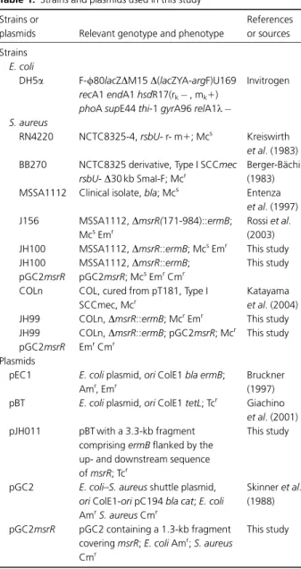 Table 1. Strains and plasmids used in this study Strains or